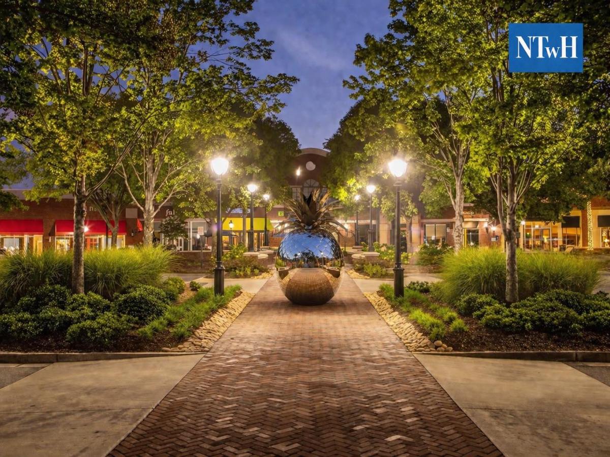 Peachtree City Pineapple Art&nbsp;Revealed